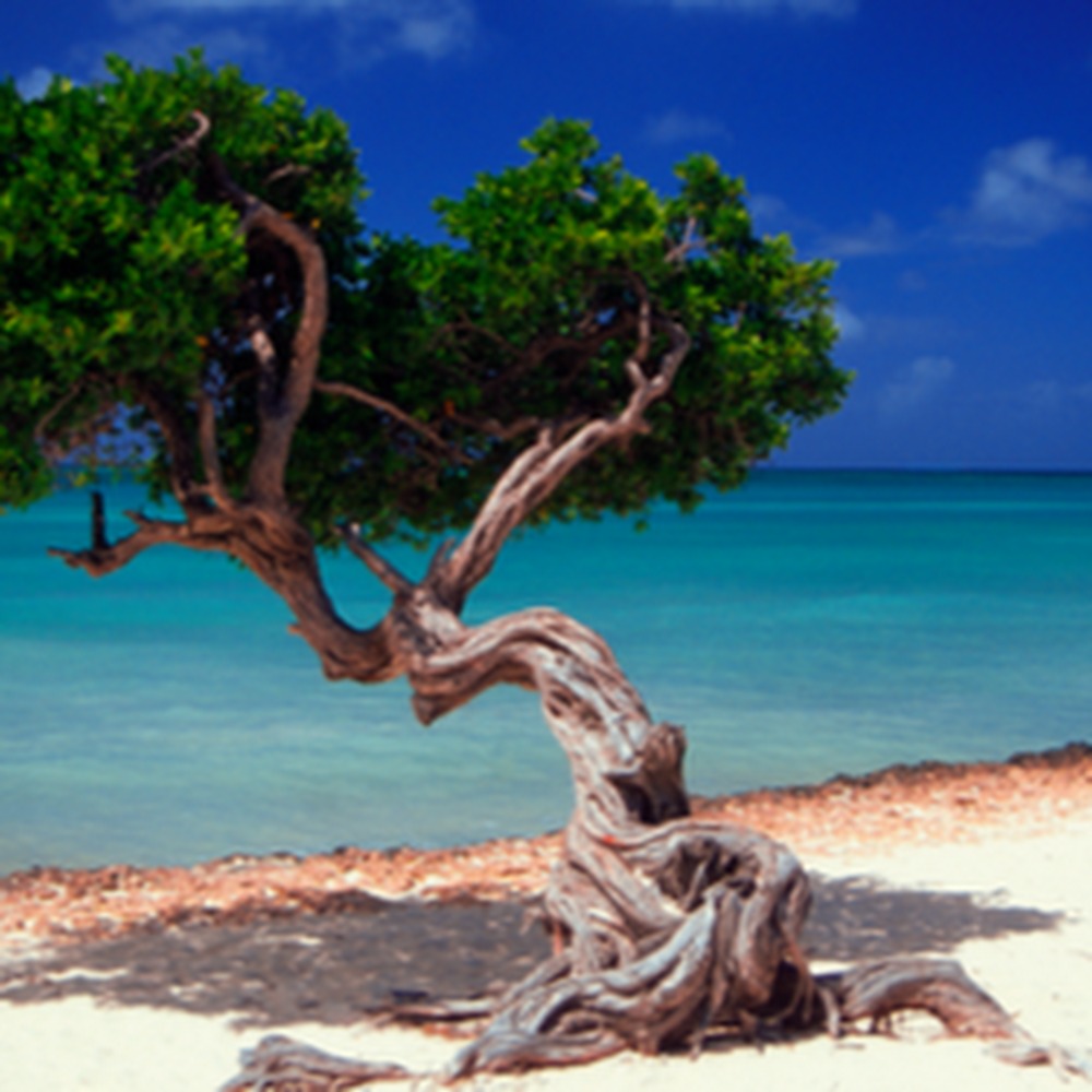 Meet your Posher, Fable